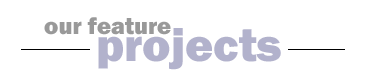 Our Feature Projects